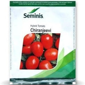 Chiranjeevi Tomato Seeds | Buy Online At Best Price