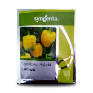 Lumos Capsicum Seeds - Syngenta | F1 Hybrid | Buy Online at Best Price
