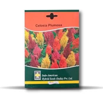 Celosia Plumosa Flower Seeds - Indo American | F1 Hybrid | Buy Online at Best Price