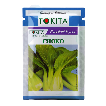 Choko Pakchoi Seeds - Tokita | F1 Hybrid | Buy Online at Best Price