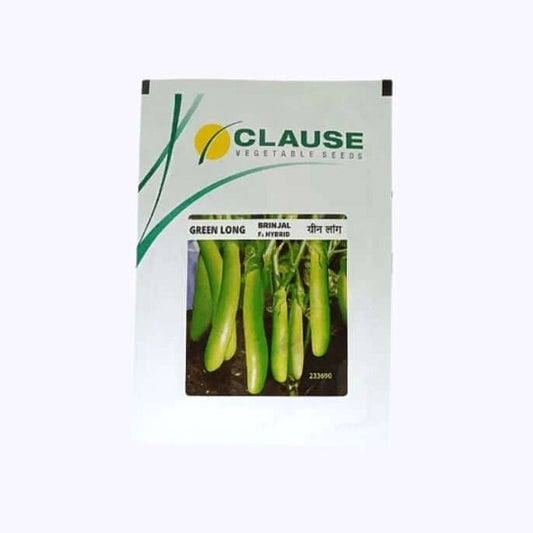 Green Long Brinjal Seeds | Buy Online At Best Price