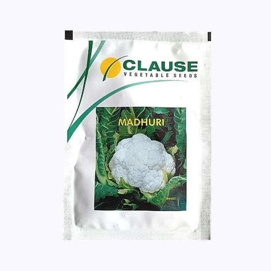 Madhuri Cauliflower Seeds | Buy Online At Best Price