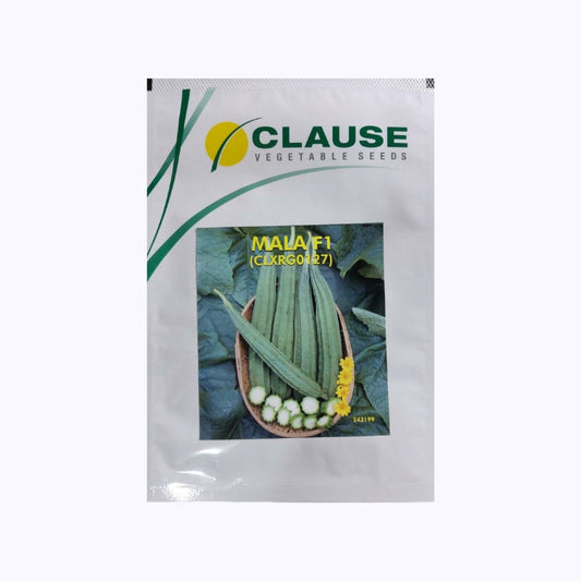 Mala Ridge Gourd Seeds | Buy Online At Best Price