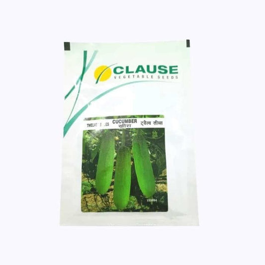 Twelve Leaves Cucumber Seeds | Buy Online At Best Price