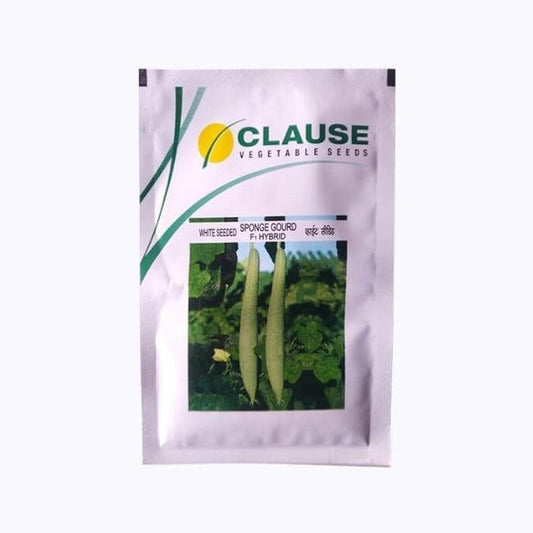 White Seeded Sponge Gourd - HM Clause | F1 Hybrid | Buy Online at Best Price