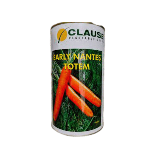 Early Nantes Totem Carrot Seeds - HM Clause | Buy Online at Best Price