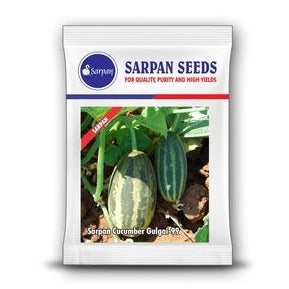 Sarpan Gulgai - 99 Cucumber Seeds | F1 Hybrid | Buy Online at Best Price