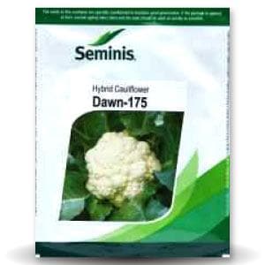Dawn 175 Cauliflower Seeds | Buy Online At Best Price