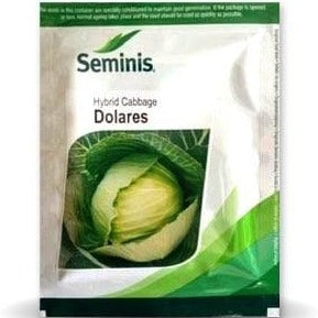 Dolares Cabbage Seeds | Buy Online At Best Price