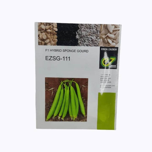 EZSG-111 Sponge Gourd Seeds - Enza Zaden | F1 Hybrid | Buy Online at Best Price