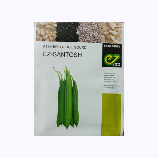 EZ-Santosh Ridge Gourd Seeds - Enza Zaden | F1 Hybrid | Buy Online at Best Price