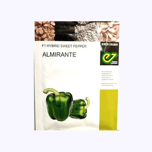 Almirante Capsicum Seeds - Enza Zaden | F1 Hybrid | Buy Online at Best Price