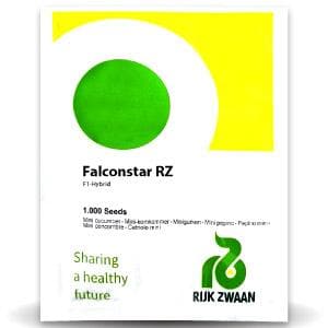 Falconstar RZ Cucumber Seeds - Rijk Zwaan | F1 Hybrid | Buy Online at Best Price