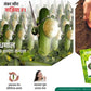 Nazia Cucumber Seeds - East West | F1 Hybrid | Buy Online at Best Price