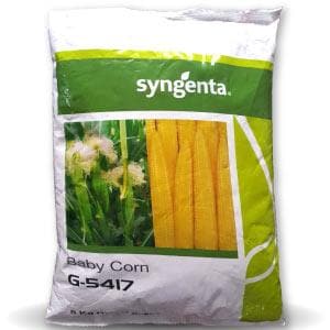 G 5417 Babycorn Seeds -Syngenta | F1 Hybrid | Buy Online at Best Price