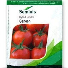 Ganesh Tomato Seeds | Buy Online At Best Price