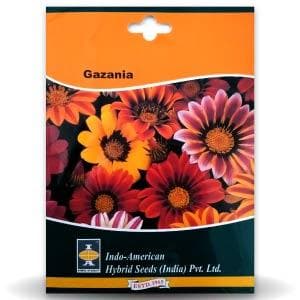 Gazania - Sunshine Mix Seeds - Indo American | F1 Hybrid | Buy Online at Best Price