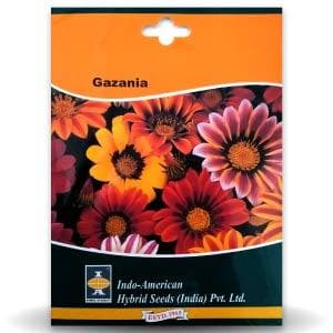 Gazania - Sunshine Mix Seeds - Indo American | F1 Hybrid | Buy Online at Best Price