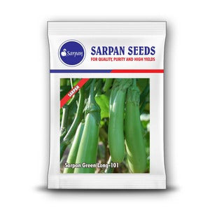 Sarpan Green Long - 101 Brinjal Seeds | F1 Hybrid | Buy Online at Best Price