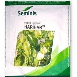 Harihar Brinjal Seeds | Buy Online At Best Price