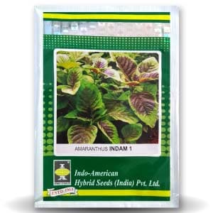 Indam 1 Amaranthus Seeds - Indo American | F1 Hybrid | Buy Online at Best Price