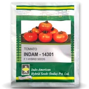 Indam - 14301 Tomato Seeds - Indo American | F1 Hybrid | Buy Online at Best Price