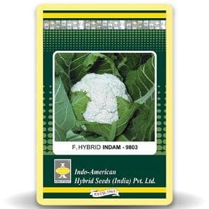 Indam 9803 Cauliflower Seeds - Indo American | F1 Hybrid | Buy Online at Best Price