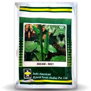 Indam 9821 Bhendi (Okra) Seeds - Indo American | F1 Hybrid | Buy Online at Best Price