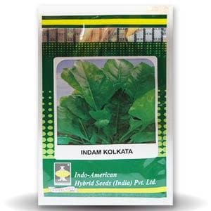 Kolkata Palak (OP) Seeds - Indo American | Buy Online at Best Price