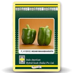 Indam Mahabharath Capsicum Seeds - Indo American | F1 Hybrid | Buy Online at Best Price