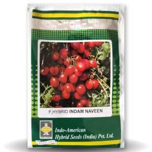 Naveen Tomato Seeds - Indo American | F1 Hybrid | Buy Online at Best Price