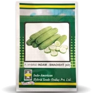 Indam Swadisht Cucumber Seeds - Indo American | F1 Hybrid | Buy Online at Best Price