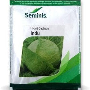 Indu Cabbage Seeds - Seminis | F1 Hybrid | Buy Online at Best Price