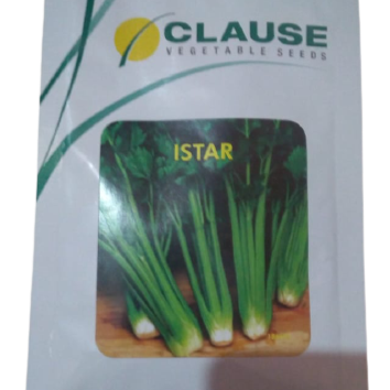 Istar Celery Seeds | Buy Online At Best Price