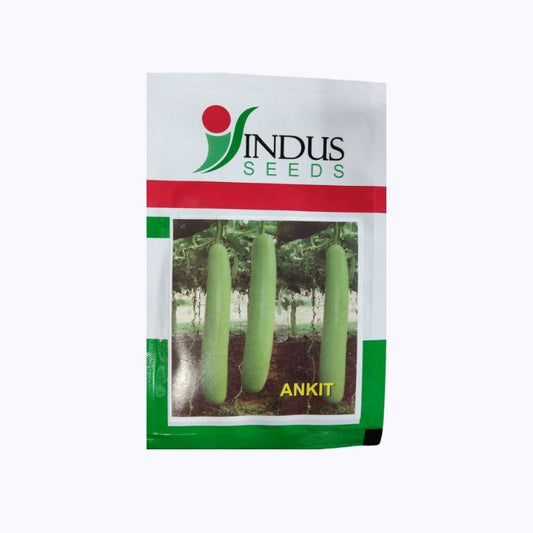 Ankit BottleGourd Seeds - Indus | F1 Hybrid | Buy Online at Best Price