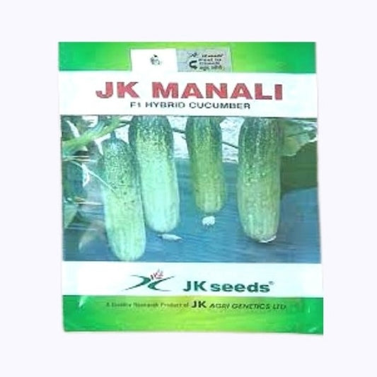 JK Manali Cucumber Seeds | F1 Hybrid | Buy Online at Best Price