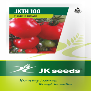 JKTH 100 Tomato Seeds (Acidic) | F1 Hybrid | Buy Online at Best Price