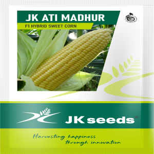 JK Ati Madhur Sweetcorn Seeds | F1 Hybrid | Buy Online at Best Price