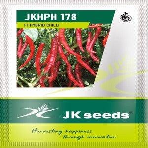 JKHPH 178 Chilli Seeds | F1 Hybrid | Buy Online at Best Price