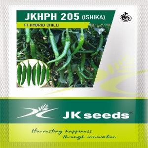 JKHPH 205 (Ishika) Chilli Seeds | F1 Hybrid | Buy Online at Best Price