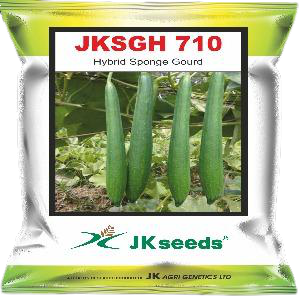 JK 710 Sponge Gourd Seeds | F1 Hybrid | Buy Online at Best Price