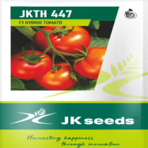 JKTH 447 Tomato Seeds (Acidic) | F1 Hybrid | Buy Online at Best Price