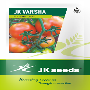 JK Varsha Tomato Seeds (Acidic) | F1 Hybrid | Buy Online at Best Price