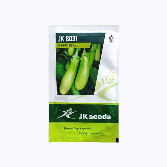 JK 8031 Brinjal Seeds | F1 Hybrid | Buy Online at Best Price