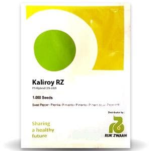 Kaliroy RZ Yellow Capsicum Seeds - Rijk Zwaan | F1 Hybrid | Buy Online at Best Price