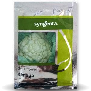 Kimaya Cauliflower Seeds - Syngenta | F1 Hybrid | Buy Online at Best Price