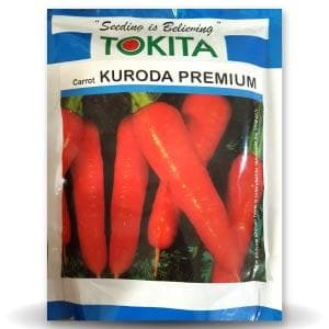 Kuroda Carrot Seeds - Tokita | F1 Hybrid | Buy Online at Best Price