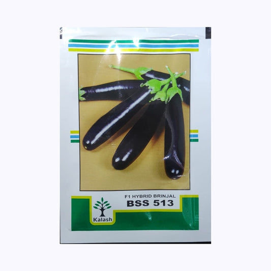 BSS 513 Brinjal Seeds - Kalash | F1 Hybrid | Buy Online at Best Price