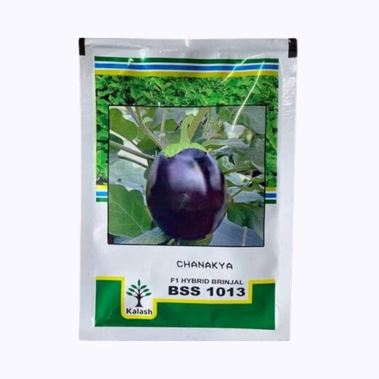 BSS 1013 Chanakya Brinjal Seeds - Kalash | F1 Hybrid | Buy Online at Best Price