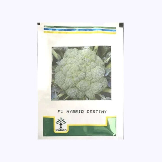 Destiny Broccoli Seeds - Kalash | F1 Hybrid | Buy Online at Best Price